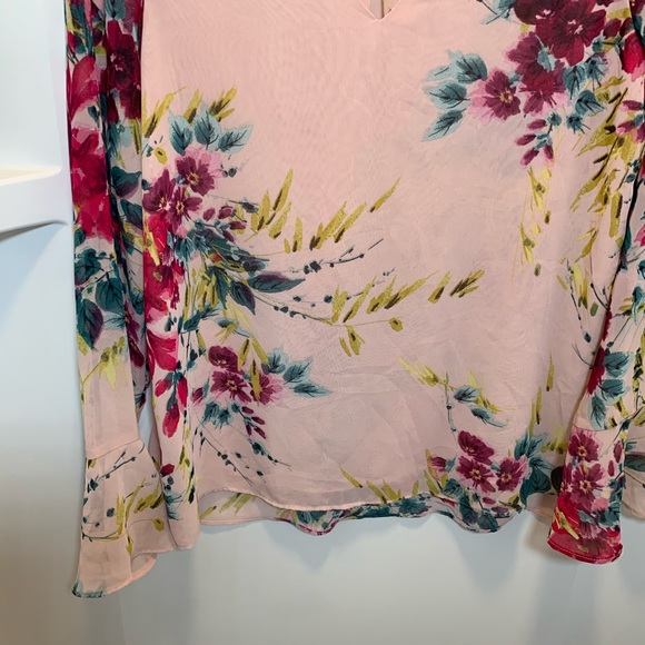Zac & Rachel Sheer Floral Blush‎ Top - Picture 13 of 15